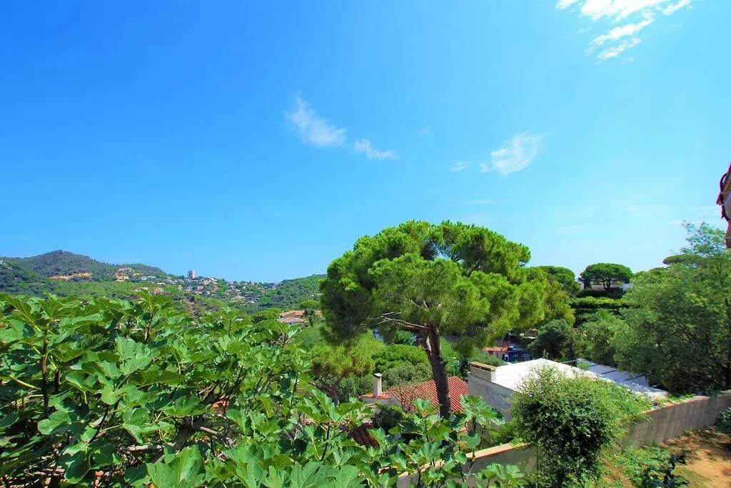 V&V Lloret- Villa Suecia 滨海略雷特